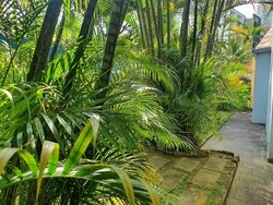 Brentwood (D9), Terrace #537504981